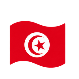 Programme d'agents MobCash disponible en Tunisie